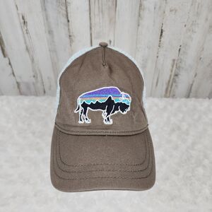 Patagonia Light Blue and Brown Cap